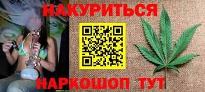 индика Будённовск