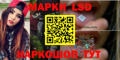 индика Будённовск