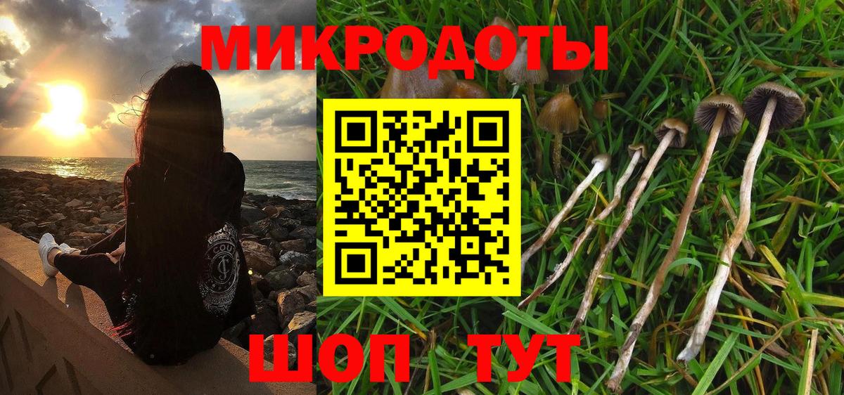 Галлюциногенные грибы MAGIC MUSHROOMS Прохладный