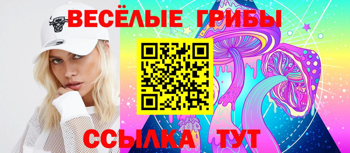 Галлюциногенные грибы Psilocybine cubensis  Вход с VPN  Псилоцибиновые грибы мицелий  Прохладный 