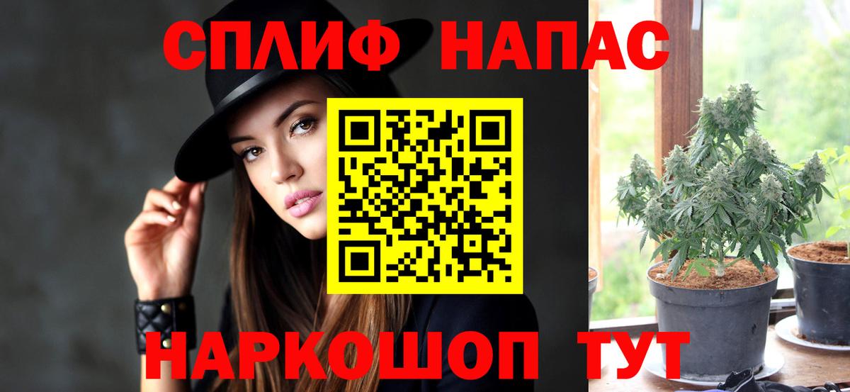 Бошки Шишки индика  Вход с VPN  Конопля MAZAR  Прохладный 